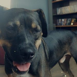 Meet your Posher, Abbey